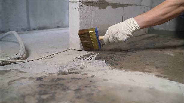 24/7 Emergency Crawl Space Encapsulation experts in Rosedale, WA